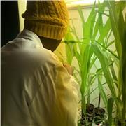 Soy Magister en ciencias ambientarles y tengo la vocación de compartir conocimientos